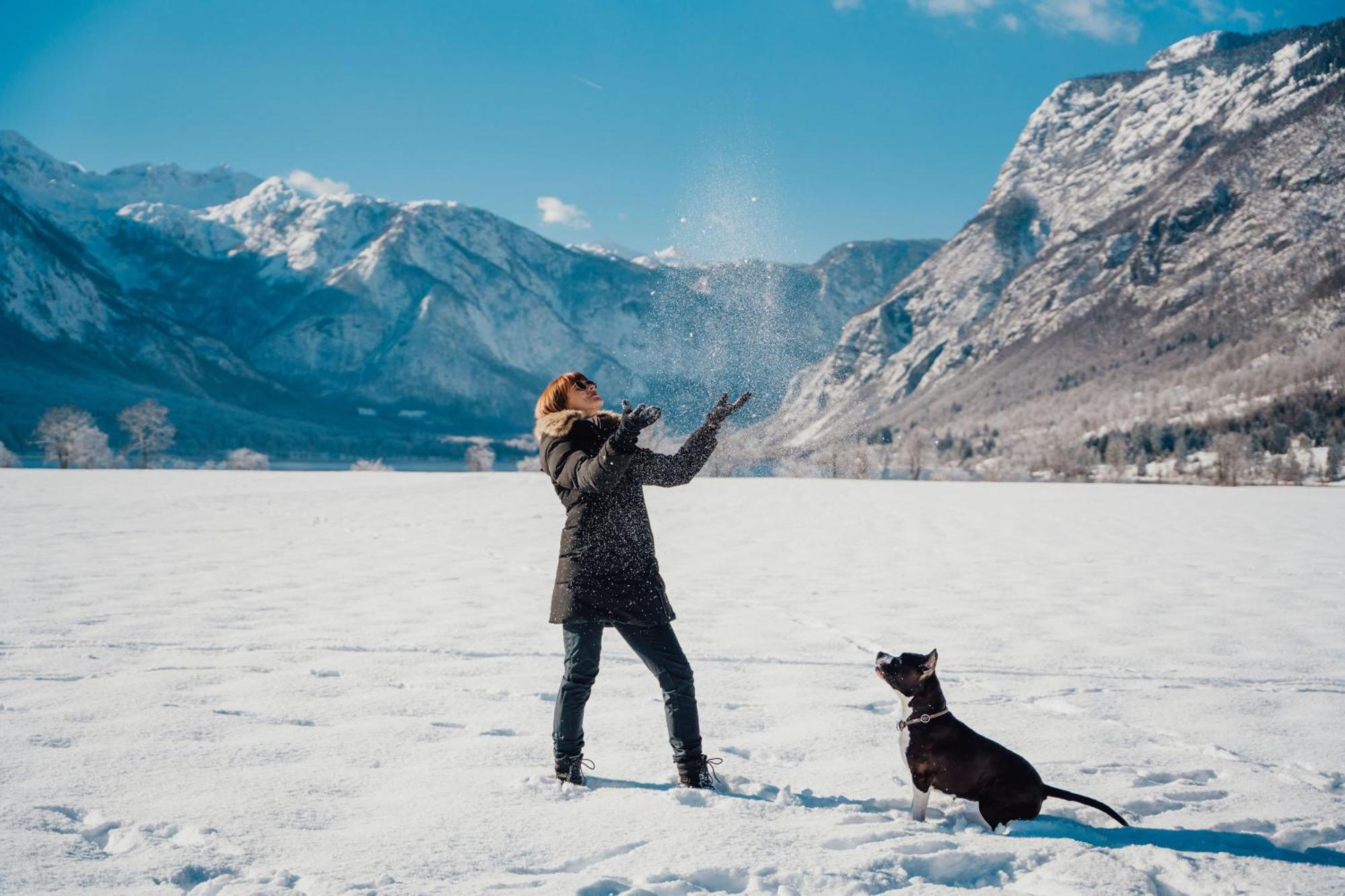 Apartmaji Triglav Bohinj Bagian luar foto